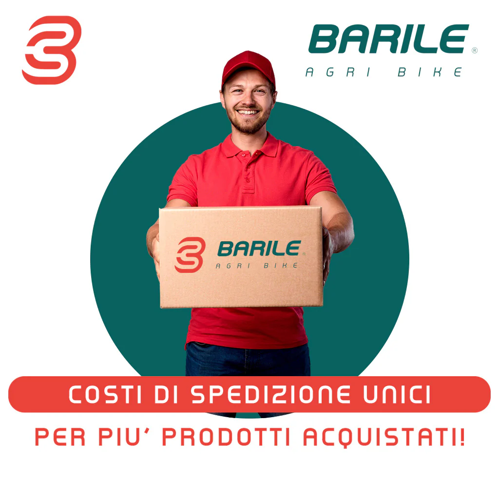 10 LITRI Olio EFCO PROSINT 2 EVO Miscela Motore 2 Tempi Sintetico - immagine 3